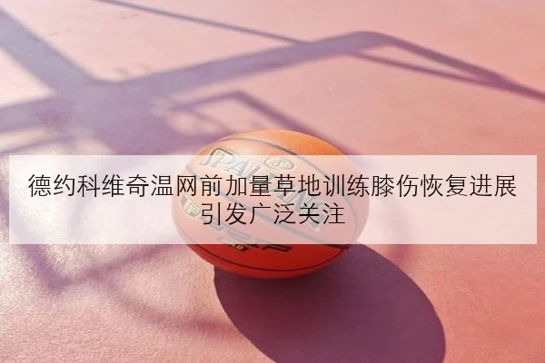 德约科维奇温网前加量草地训练膝伤恢复进展引发广泛关注